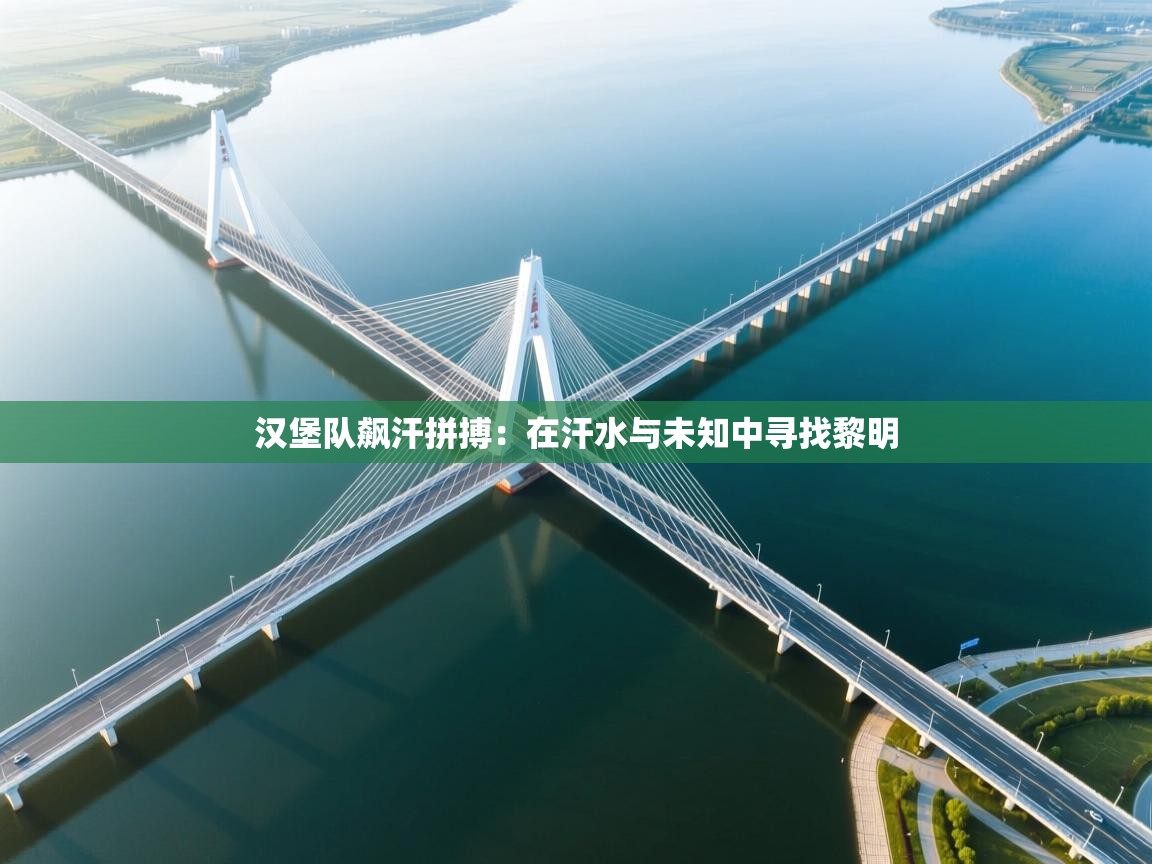 汉堡队飙汗拼搏：在汗水与未知中寻找黎明  第2张