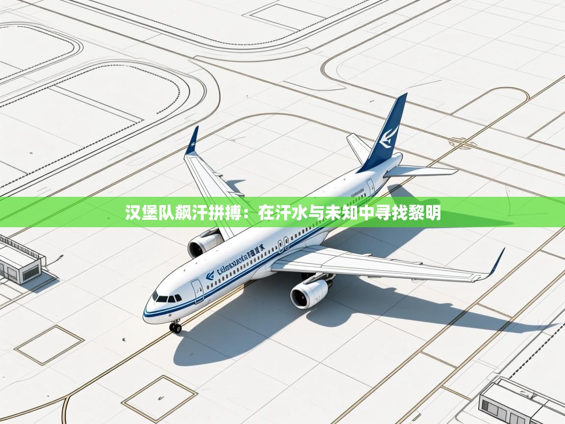 汉堡队飙汗拼搏：在汗水与未知中寻找黎明  第1张